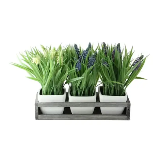 9.5" Lavender in White Pots with Wood Tray {1}