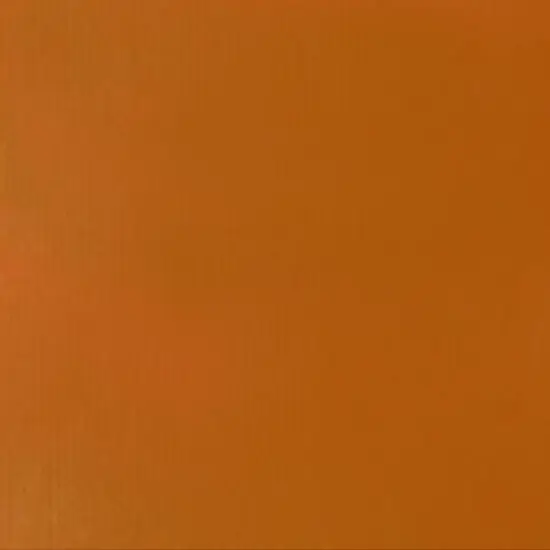 Liquitex® Professional 2oz. Heavy Body Acrylic Paint 332 Transparent Raw Sienna {6}