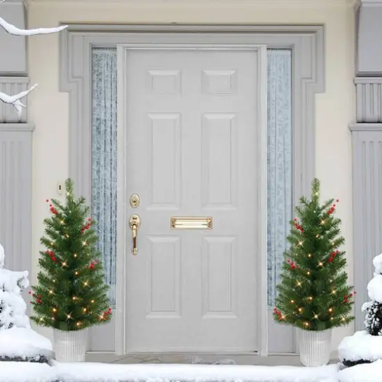 2 Pack 3.5ft. Pre-Lit Adorned Artificial Potted Christmas Tree, Warm White LED Lights {3}