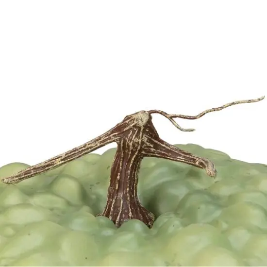 10.5" Green Textured Pumpkin Tabletop D&eacute;cor {3}