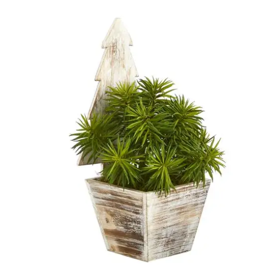 15" Unlit Succulent Artificial Plant in Christmas Tree Planter {4}