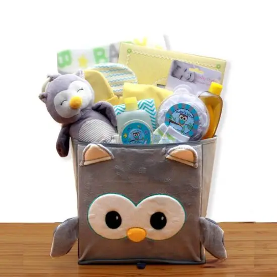 A Little Hoot New Baby Gift Basket {1}