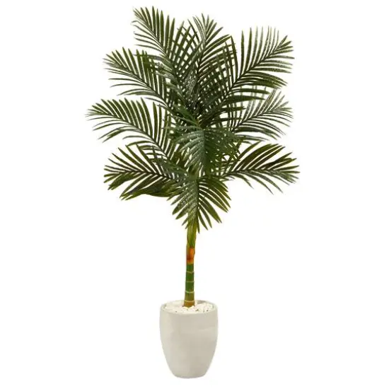 5ft. Golden Cane Palm Tree in White Planter {1}