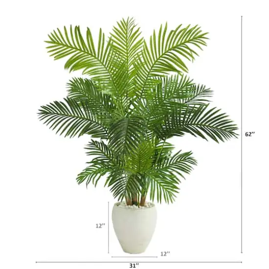 5ft. Hawaii Palm Tree in White Planter {3}