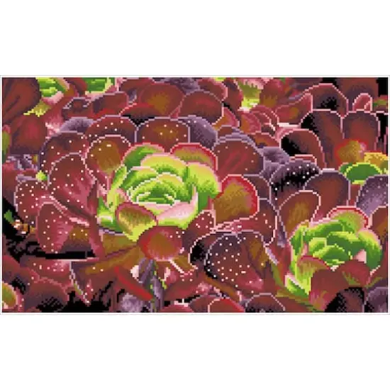 Diamond Dotz&reg; Squares Intermediate Succulents Diamond Facet Art Kit {4}