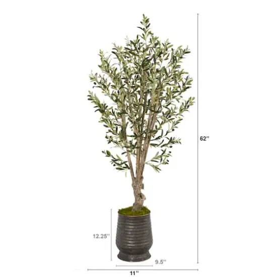 5ft. Olive Tree in Ribbed Metal Planter {3}