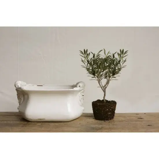 Hello Honey&reg; 16" White Terracotta Cache Pot {4}
