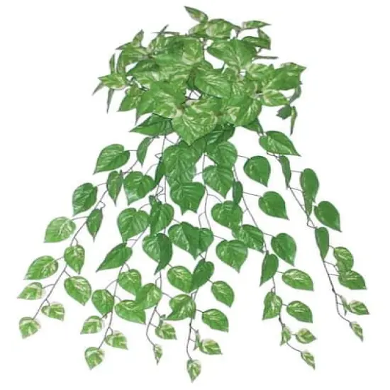 35" Green Artificial Spring Pothos Plant Bush {1}
