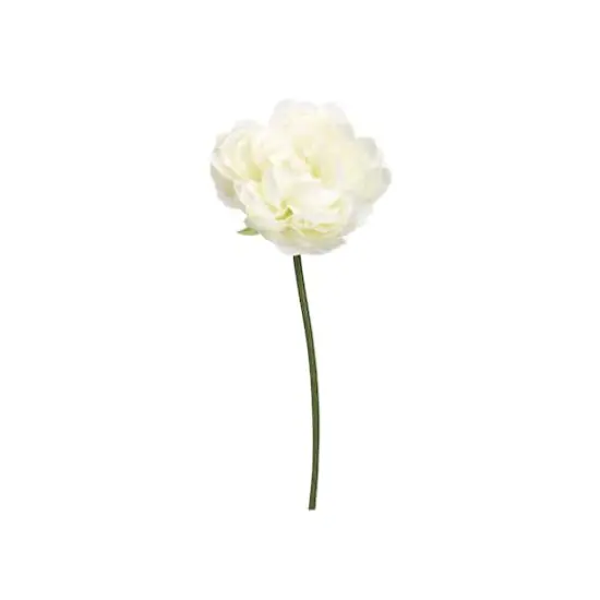 White Peony Stem {1}