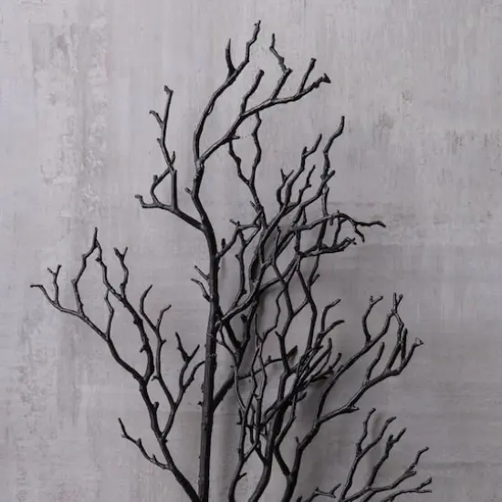 Black Bare Branch Stem by Ashland&reg; {3}