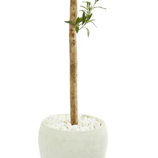5ft. Olive Topiary Artificial Tree in White Planter {4}
