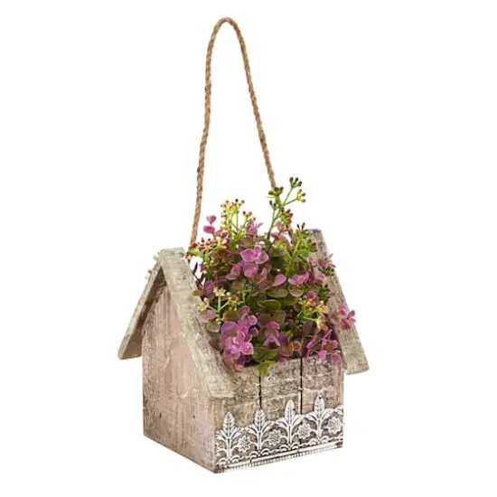 11" Sedum & Eucalyptus Plant in Birdhouse Hanging Basket {1}