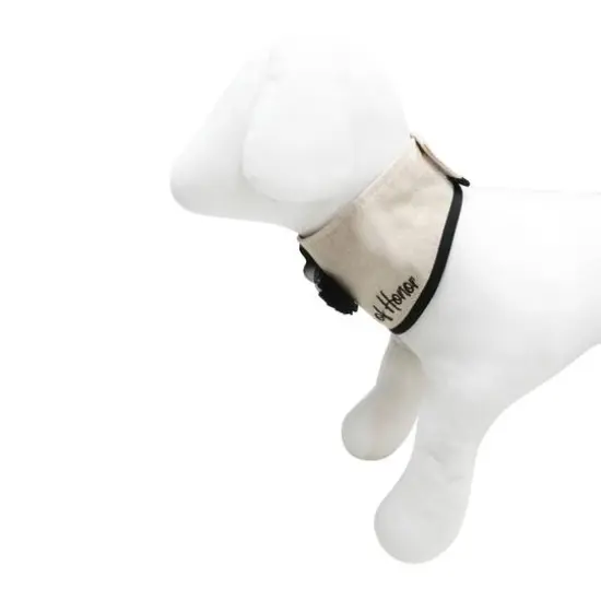 Best Furry Friends Dog of Honor Floral Collar Rustic {4}