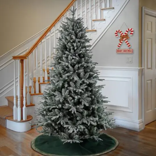 7.5ft. Unlit Frosted Holliston Artificial Christmas Tree {3}