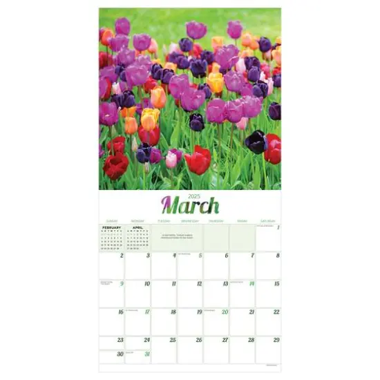 TF Publishing 2025 Flowers Wall Calendar {6}