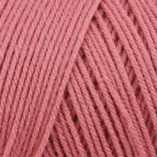 Caron&reg; One Pound&trade; Yarn Rose {3}