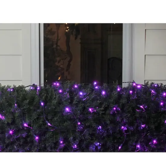 4ft. x 6ft. LED Wide Angle Net Style Christmas Lights Purple {4}