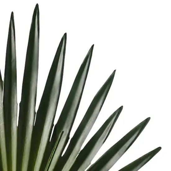 Tropical Fan Palm Stem by Ashland&reg; {4}