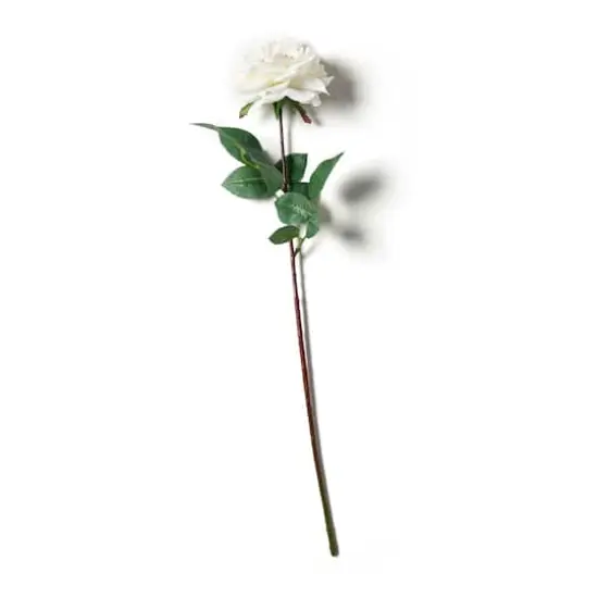 Orlane Rose Stem by Ashland&reg; White {5}
