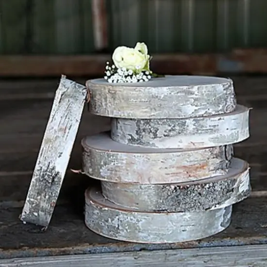 Wilson&reg; Enterprises Birch Coasters, 8ct. {6}