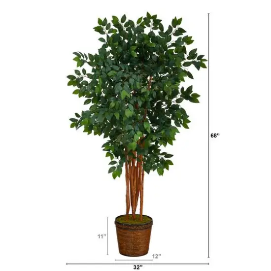 5.5ft. Sakaki Artificial Tree in Wicker Planter {3}