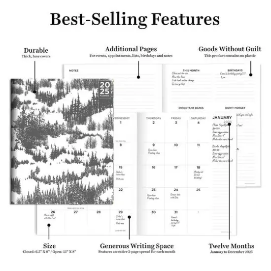 TF Publishing 2025 Gray Forest Medium Monthly Planner {6}