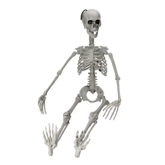 35" Jointed Hanging Skeleton Halloween Decoration {3}
