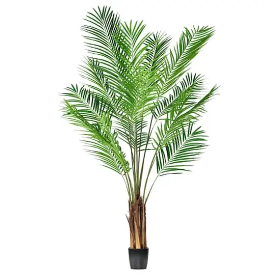 6ft. Potted Giant Areca Palm Tree {1}