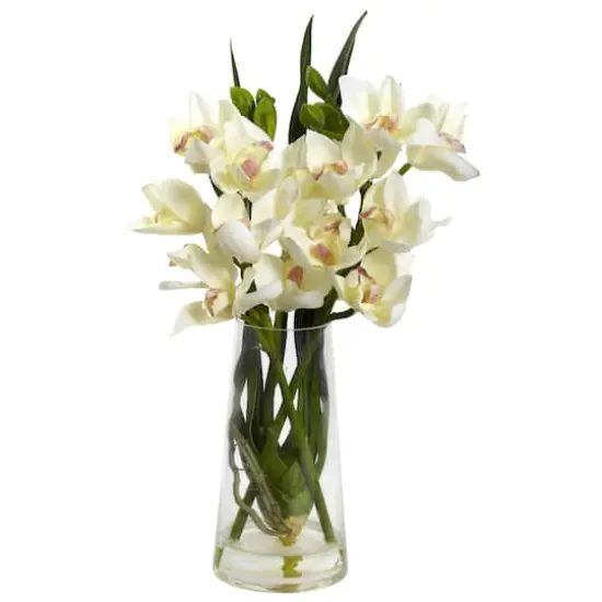 19" Cream Boat Orchid in Vase {1}