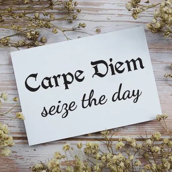 Leisure Arts&reg; Vinyl Carpe Diem Seize The Day Black Wall Decal {3}