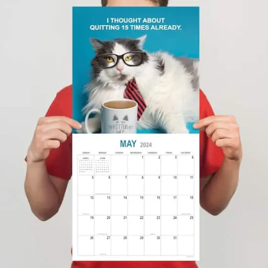 TF Publishing 2024 Corporate Cats Wall Calendar {6}