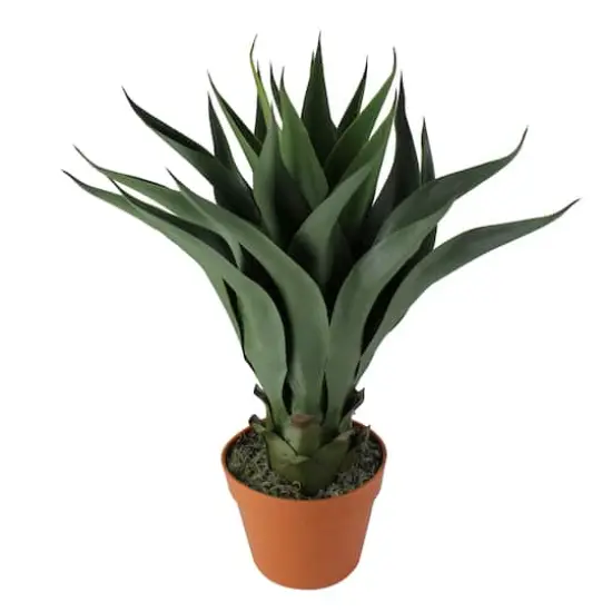 2ft. Potted Green Agave Americana Artificial Succulent Plant {1}