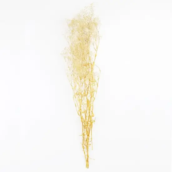 Natural Dried Baby's Breath by Ashland&reg; {1}