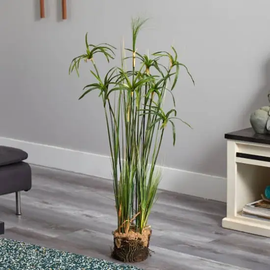 4ft. Papyrus Plant With Faux Soil Arrangement {3}