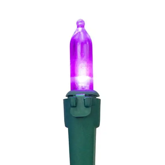 100ct. LED Mini Christmas Lights With Green Wire Purple {8}