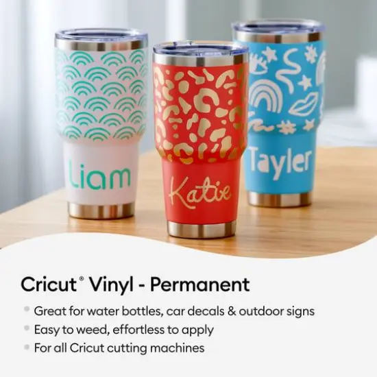 Cricut&reg; Permanent Vinyl, Ultimate Sampler {5}