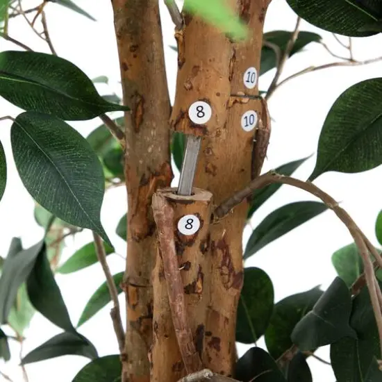 9ft. Potted Ficus Tree {7}