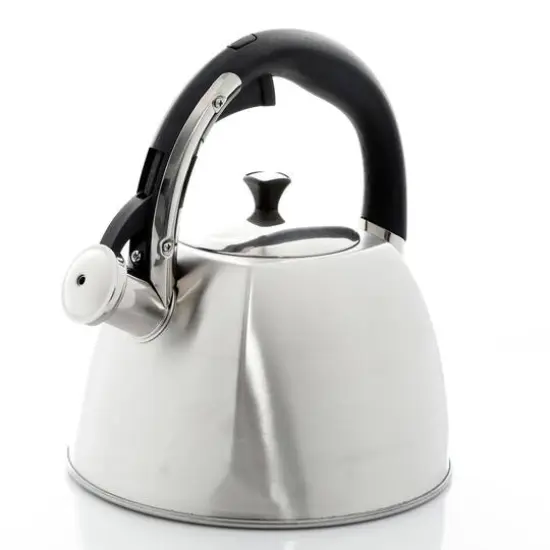 Mr. Coffee Belgrove 2.5qt. Brushed Stainless Steel Whistling Tea Kettle with Nylon Handle {4}