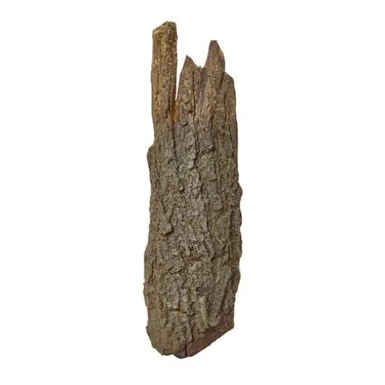 Brown Tree Bark, 6ct. {6}