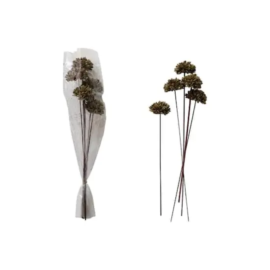 Hello Honey&reg; 23.5" Dried Natural Sesame Flower Stems, 5ct. Green {1}