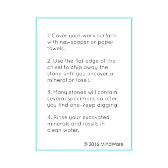 Dig It Up! - Minerals and Fossils {9}