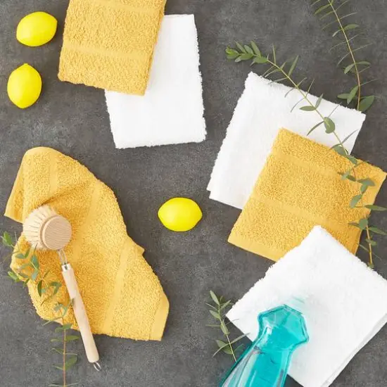 DII&reg; Basic Chef Terry Dishcloth Set {6}