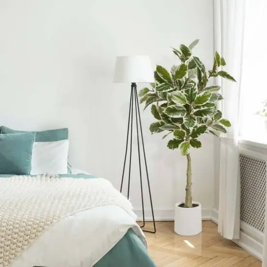 American Art Decor 5ft. Realistic Artificial Variegated Rubber Tree in White Pot {8}