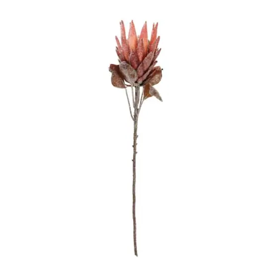 29.25" Red Protea Flower Stems, 2ct. {3}