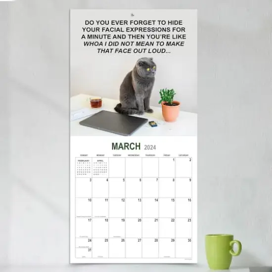 TF Publishing 2024 Corporate Cats Wall Calendar {5}