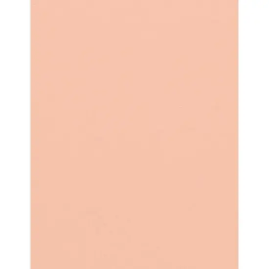 PA Paper&trade; Accents 8.5" x 11" 74lb. Muslin Cardstock Paper, 1,000 Sheets Peach Glow {1}