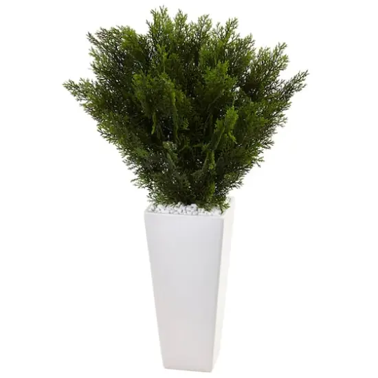 2.5ft. Cedar Plant in White Tower Planter {1}