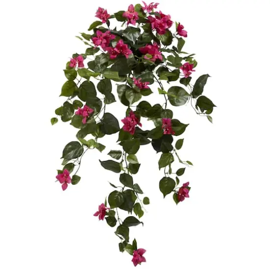 3ft. Bougainvillea Hanging Plant Set {1}