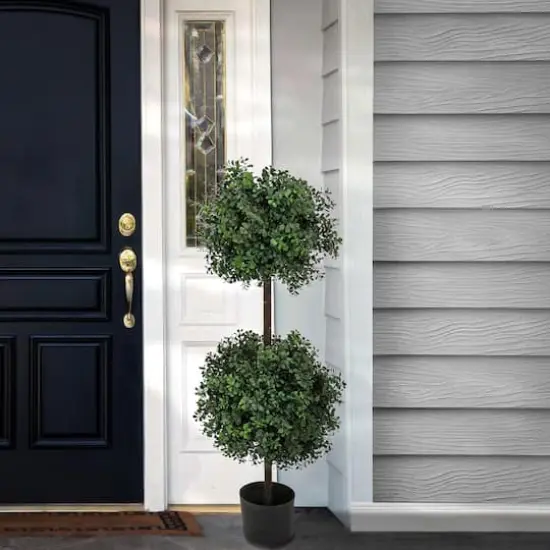 46" Boxwood Double Ball Topiary in Nursery Pot {3}