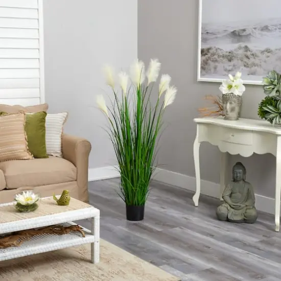 4.5ft. Potted Plume Grass {5}